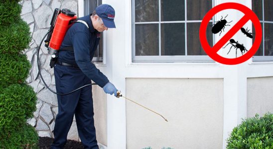 Ürgüp Böcek ve Haşere İlaçlama böcek ilaçlama ve haşere kontrolü — ilaclama-tr.com